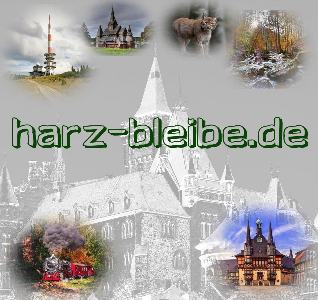 Apartament Harz-Bleibe Wernigerode Zewnętrze zdjęcie